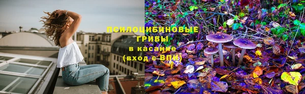 a pvp Алексин