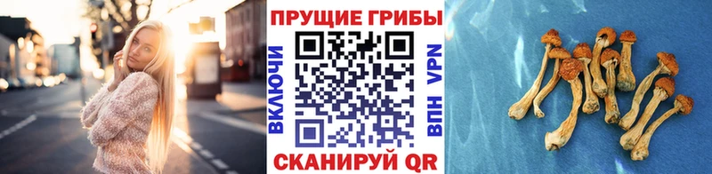 Галлюциногенные грибы ЛСД  hydra онион  Краснодар 